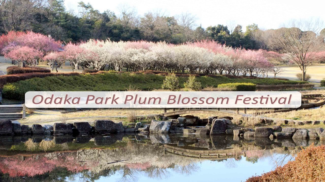 🌳 오다카 녹지 공원 (오다카 료쿠치) 이미지 5